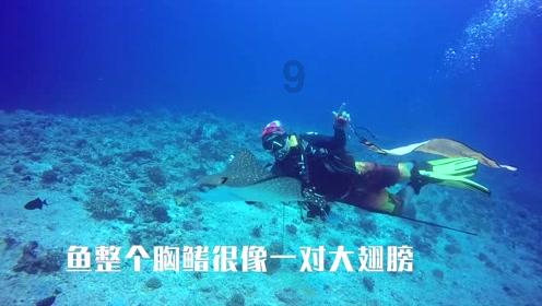 【大观】新年,来博物馆观龙接福!看惊艳世界的广东“银”!(下)
