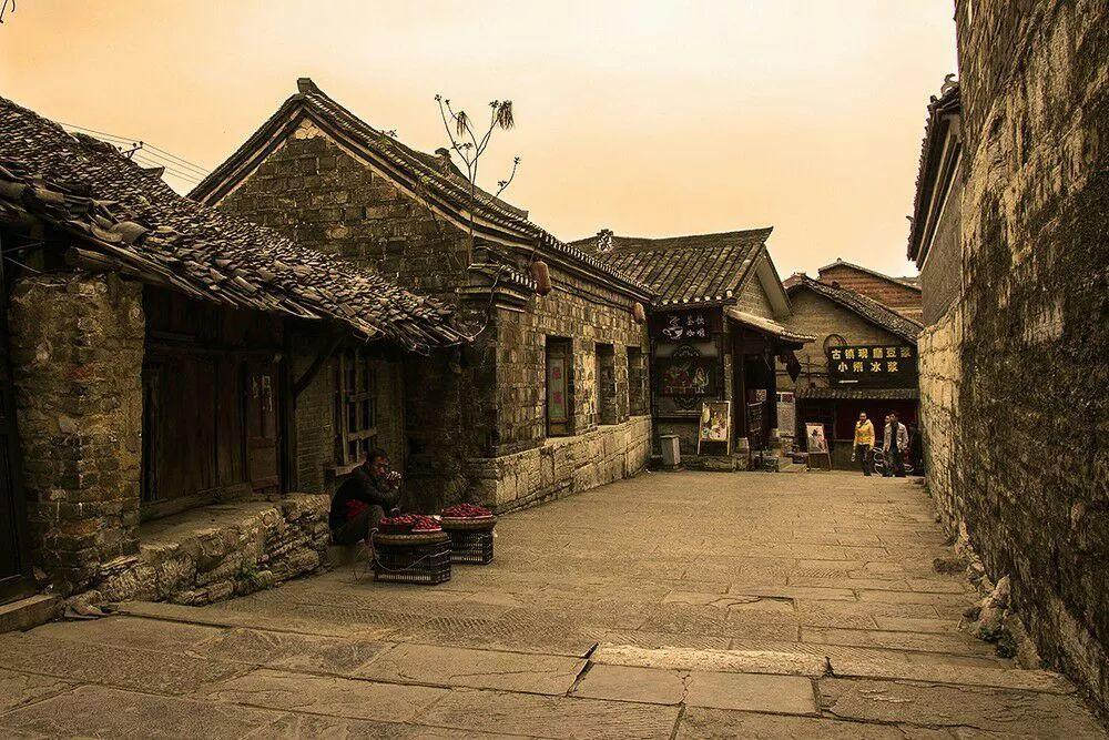 小长颈鹿逃离