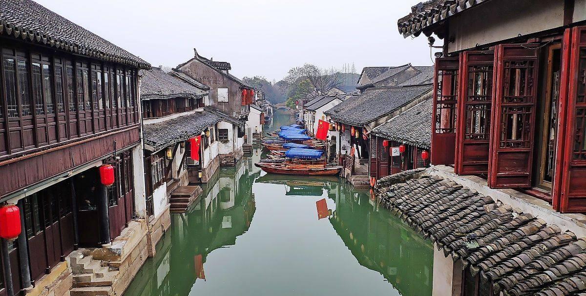 救援萌老虎